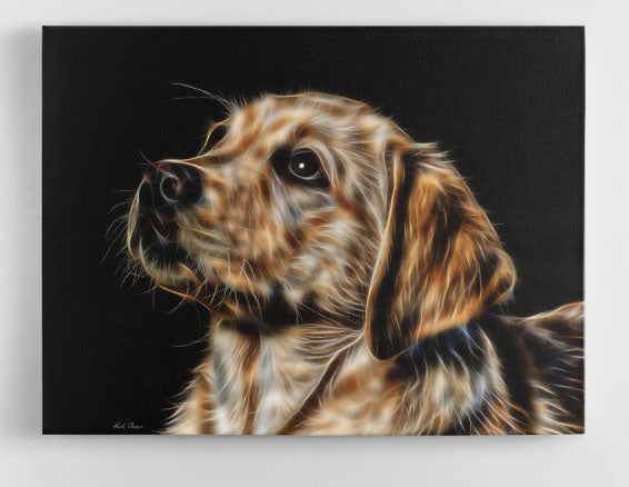The Golden Boy - Lab