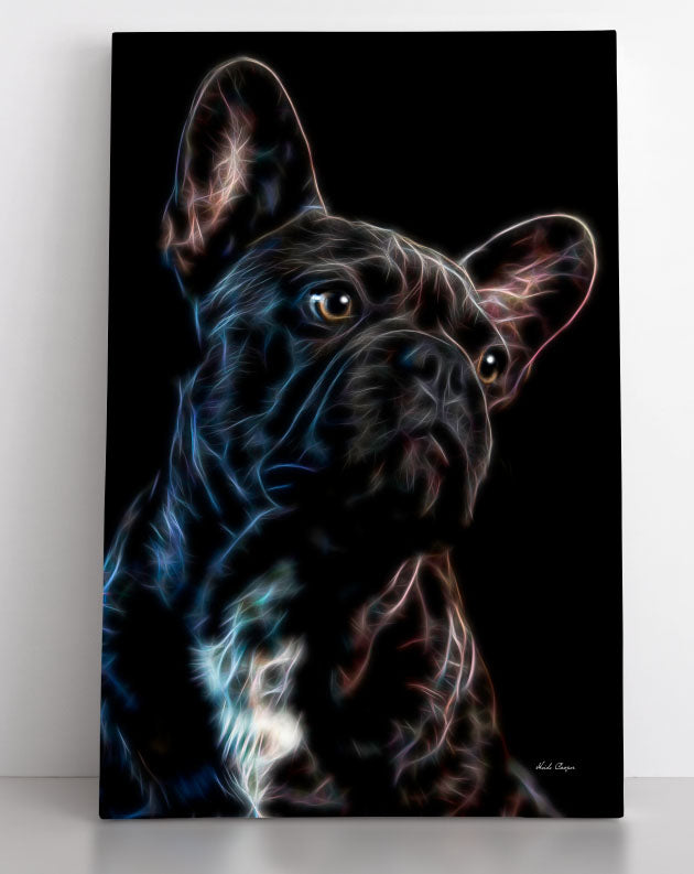 Black Frenchie - Mon Cherie