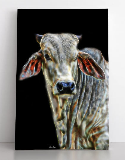 The Brahman Bull - The Patriarch