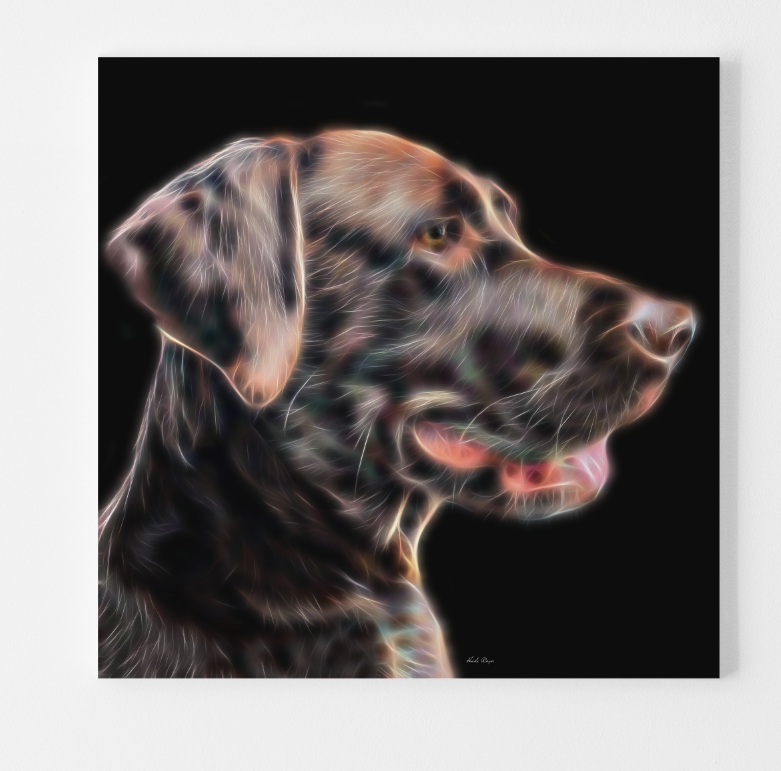 Brown Labrador Side Profile