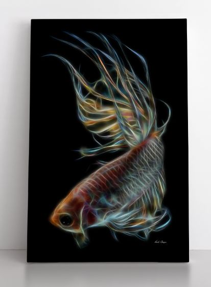 Heavenly Betta
