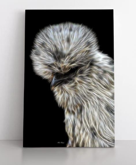 Paint Silkie Hen
