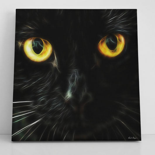 Black Cat Fever