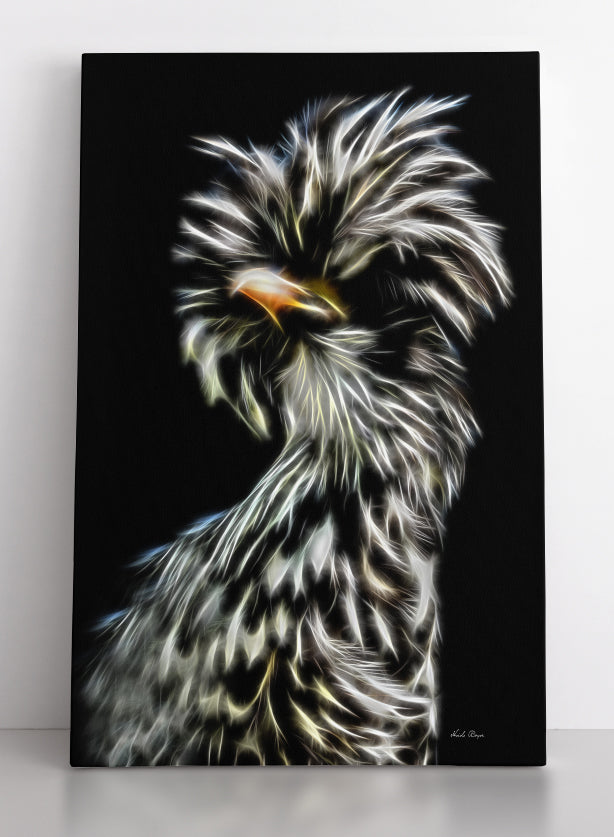 Gazing Silver Laced Polish Hen