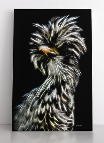 Gazing Silver Laced Polish Hen