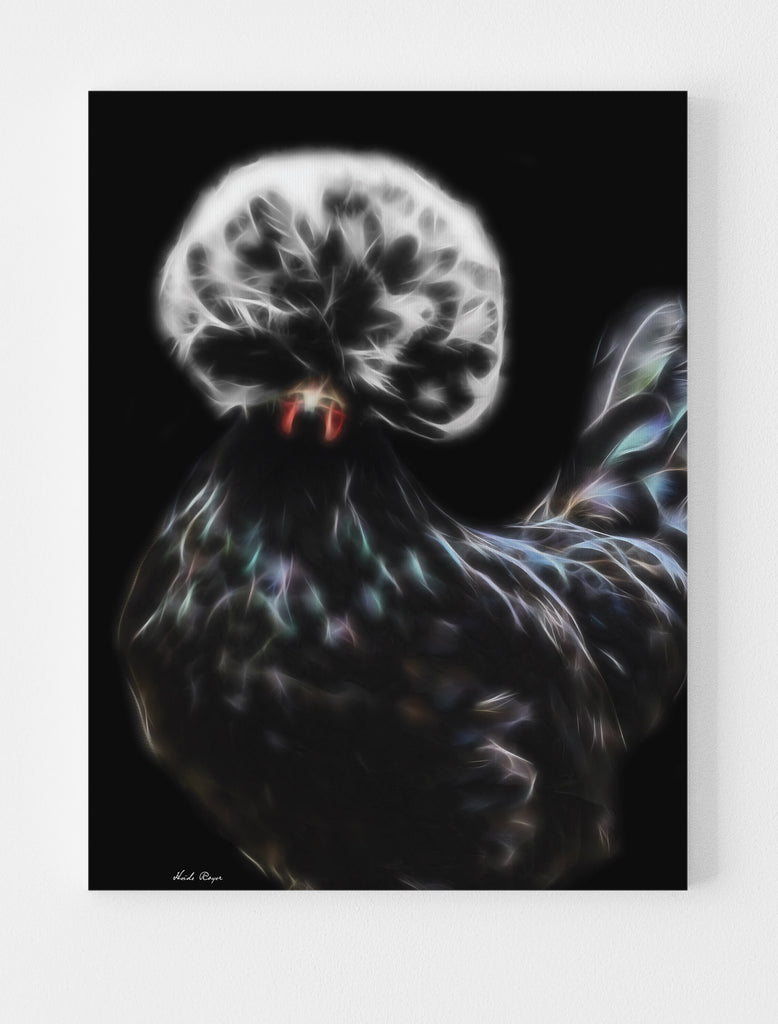 White Crested Polish Hen