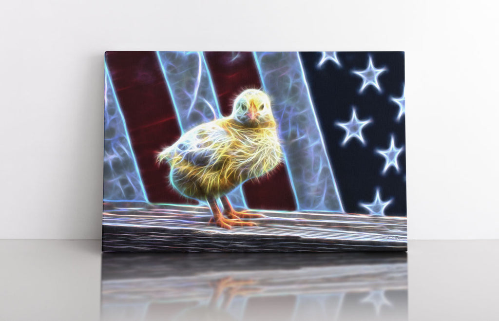 All-American Chick