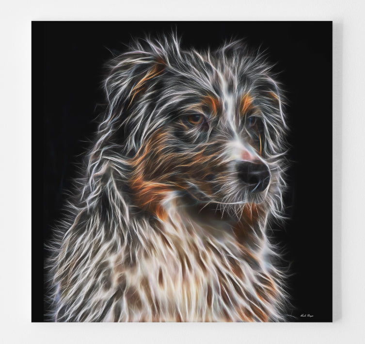 Australian Shepherd - A Farmers Best Friend
