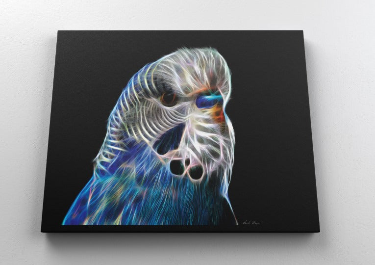 Blue Budgie