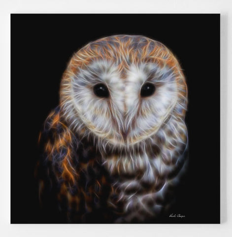 The Barn Owl - Two versions