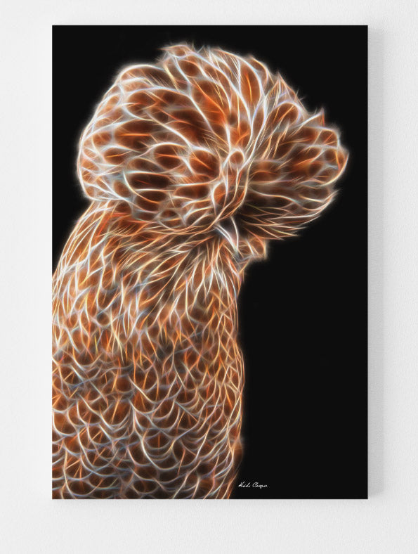 Buff Laced Polish Hen