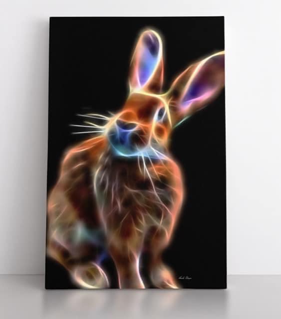 Bunny Love