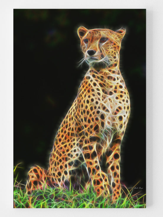Cheetah in the Wild