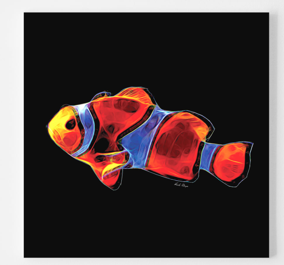 Clownfish
