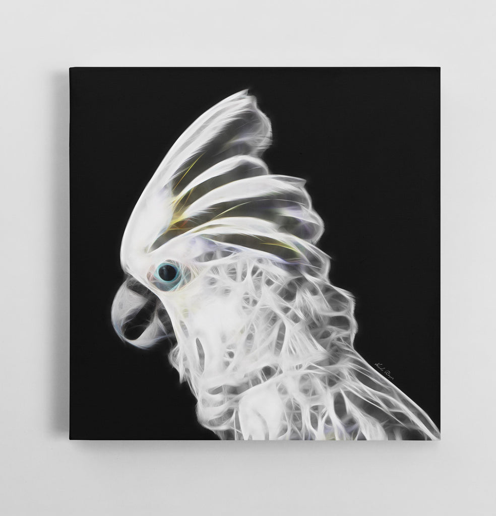 White Cockatoo - Bella