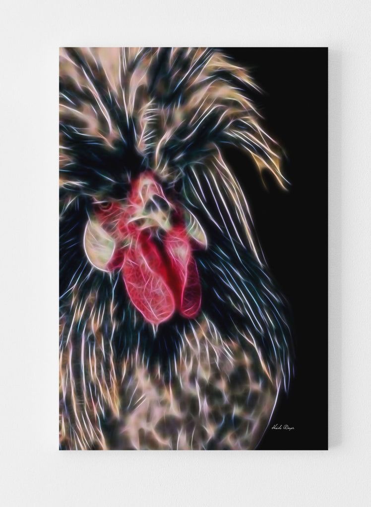 Golden Laced Polish Rooster