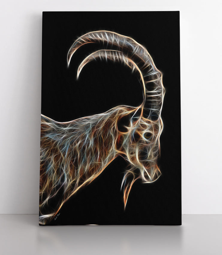 Nubian Ibex