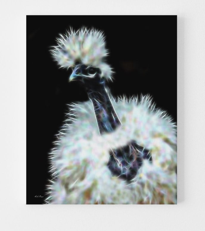 Lola The Showgirl