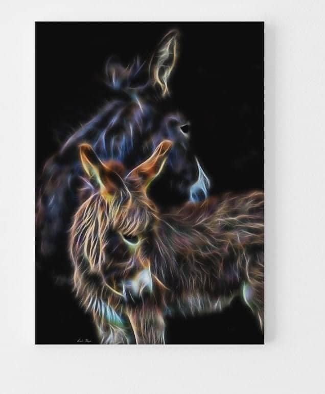 A Mothers Love - Donkey