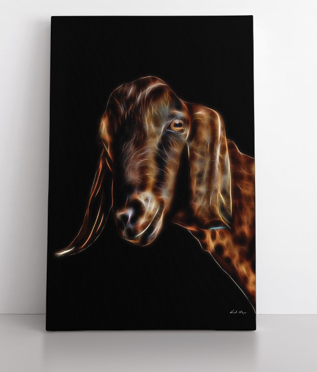 Brown Nubian Goat