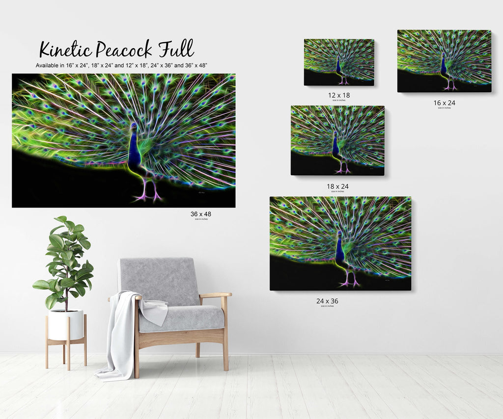 Kinetic Peacock Full Body