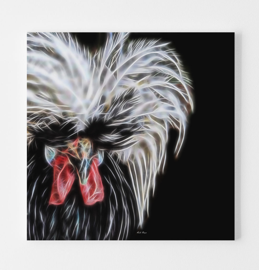 White Laced Polish Rooster "Elvis"