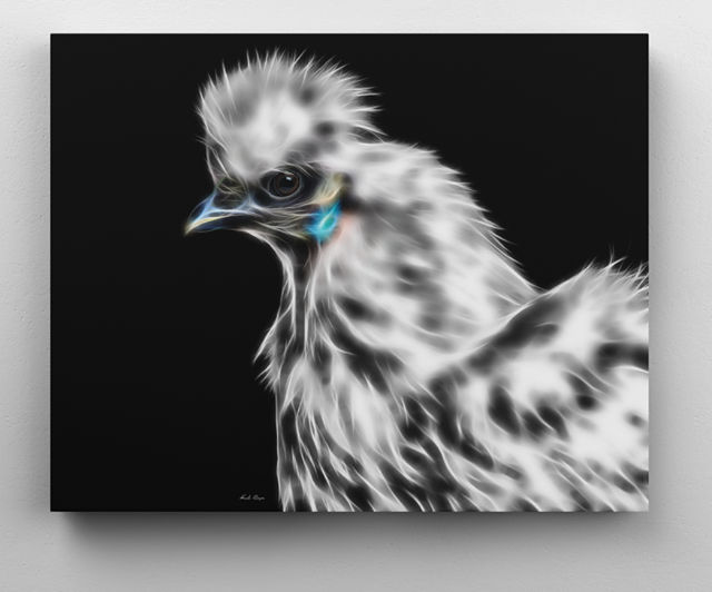 White Silkie Hen