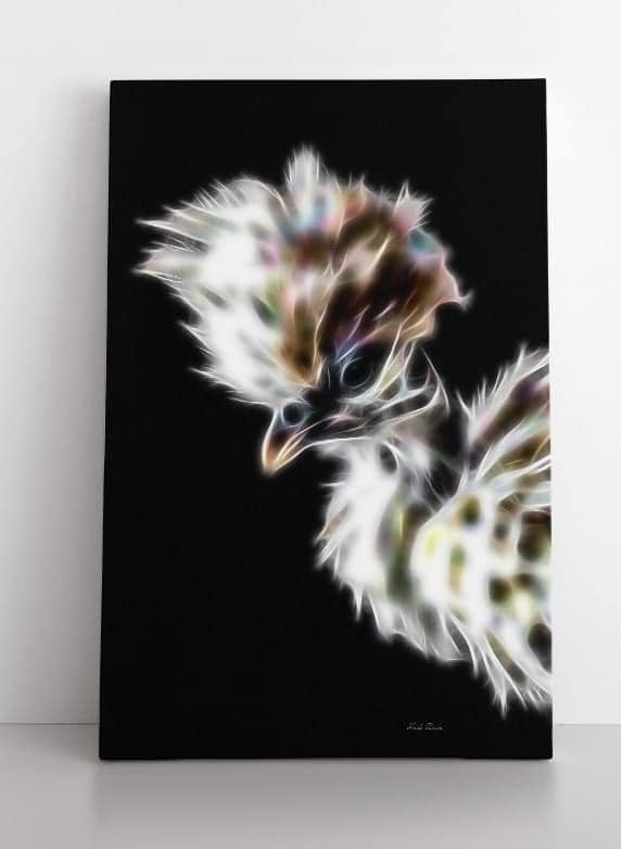 Satin Silkie Showgirl