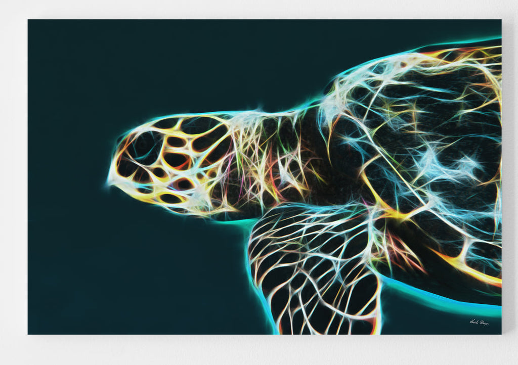 Sea Turtle Majesty