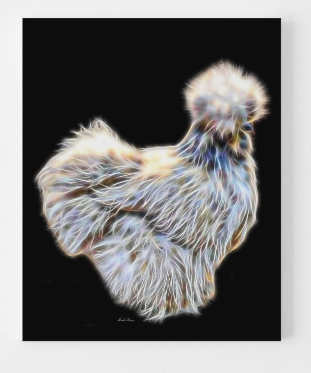 Best in Show Silkie