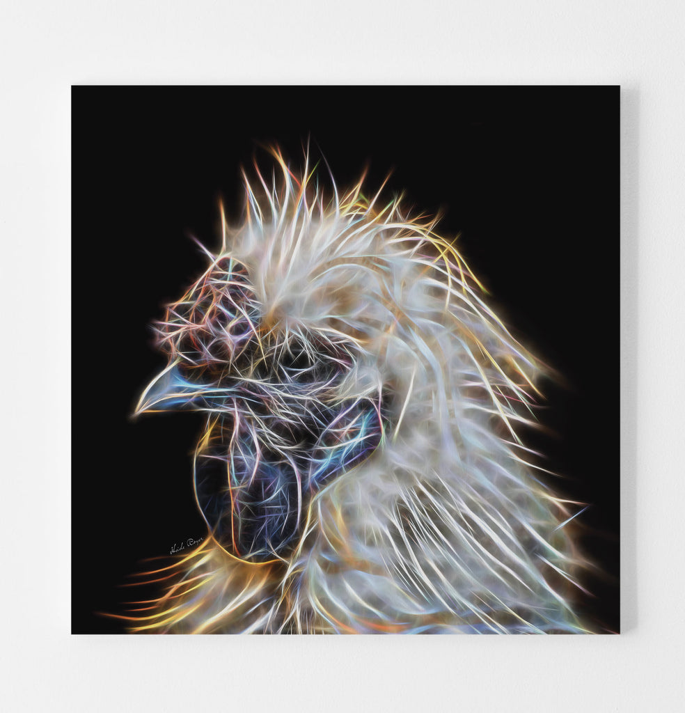 Silkie Rooster Profile 2