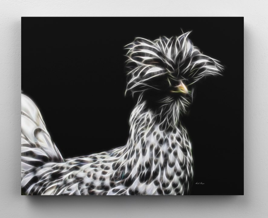 Silver Laced Polish - Half Body