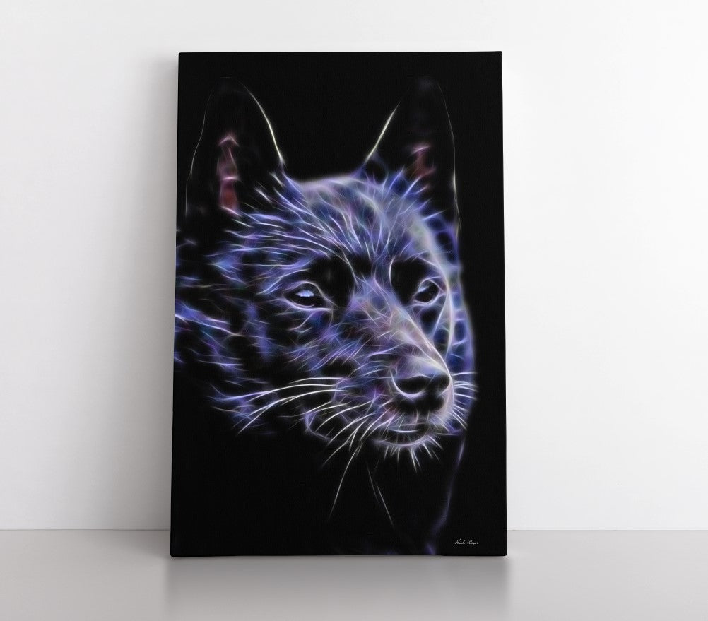 The Stoic Schipperke