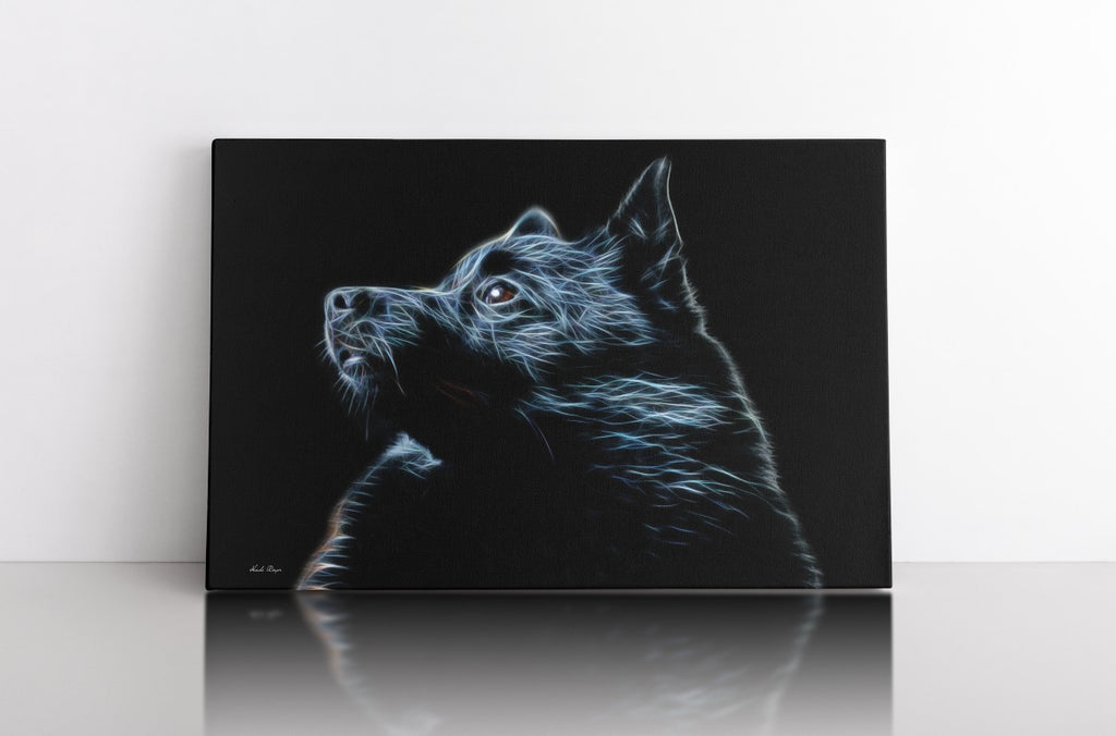Schipperke " Wait for Me"