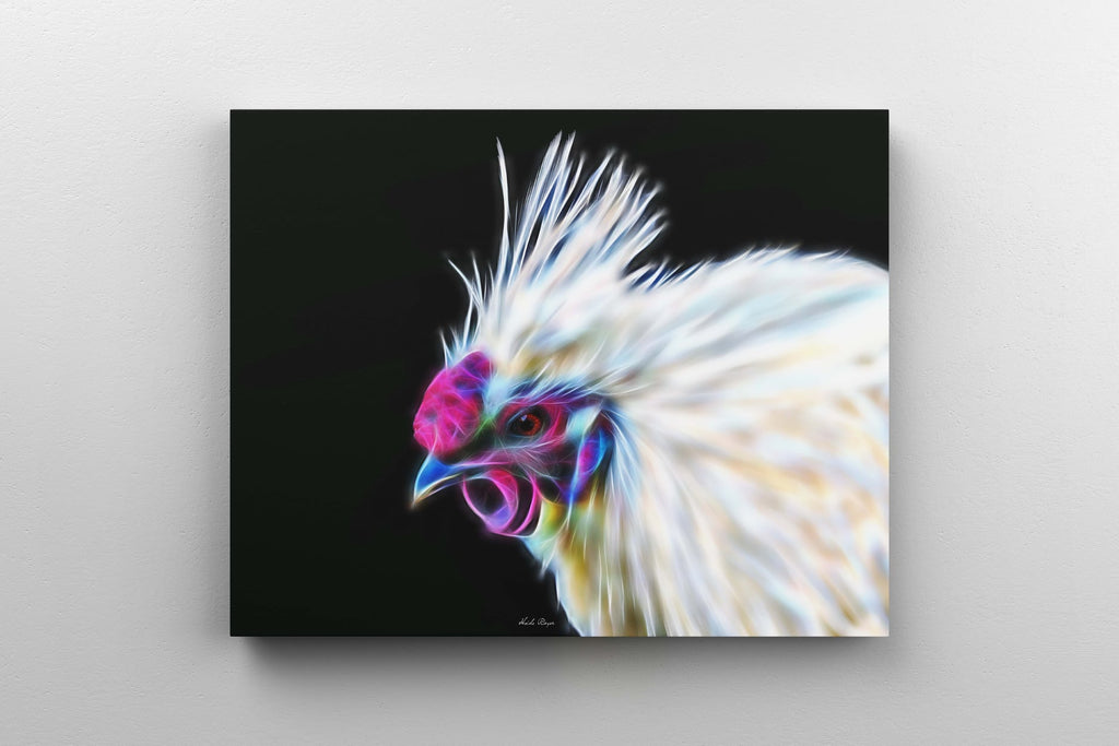 White Silkie Rooster Profile