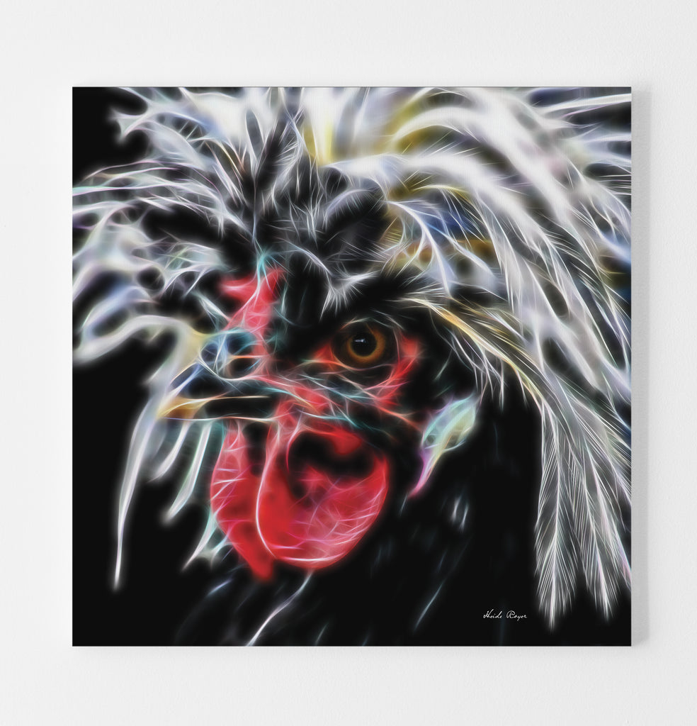 Wicked White Crested Polish Rooster - Bad to the Bone