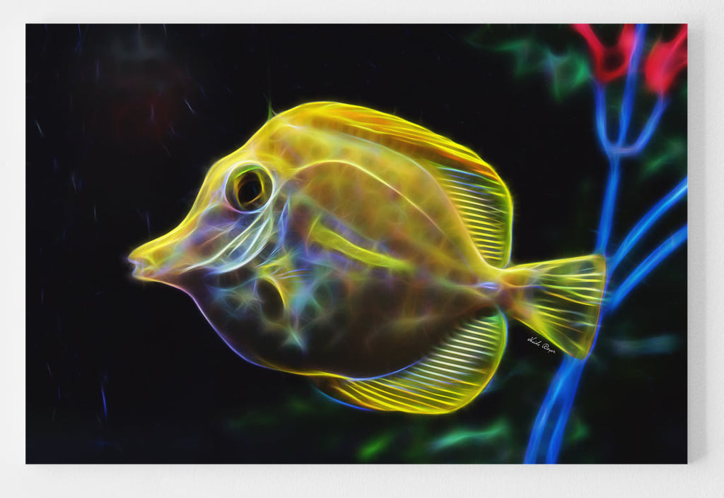 Yellow Tang