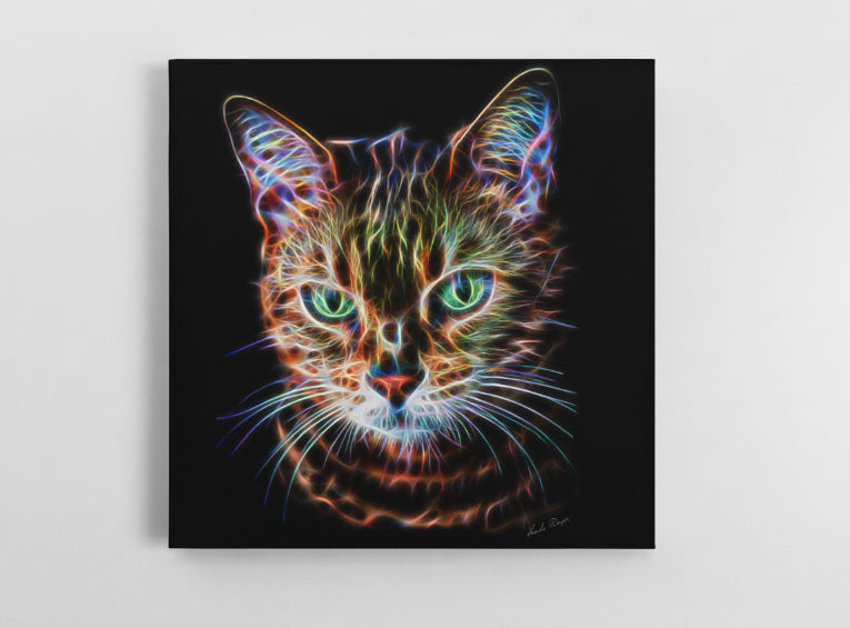 Bengal Cat