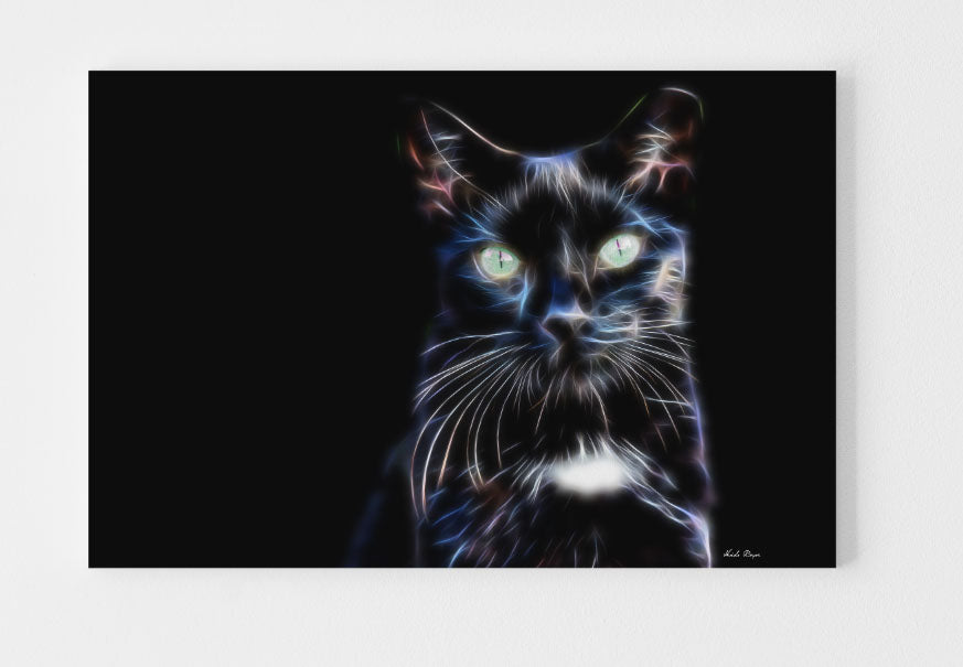 The Black Cat of Keller