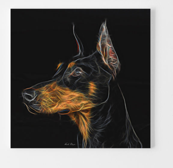 Doberman Dog Days