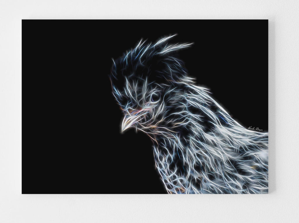 Peek A Boo Silkie