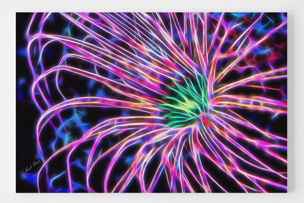 The Sea Anemone - Pink