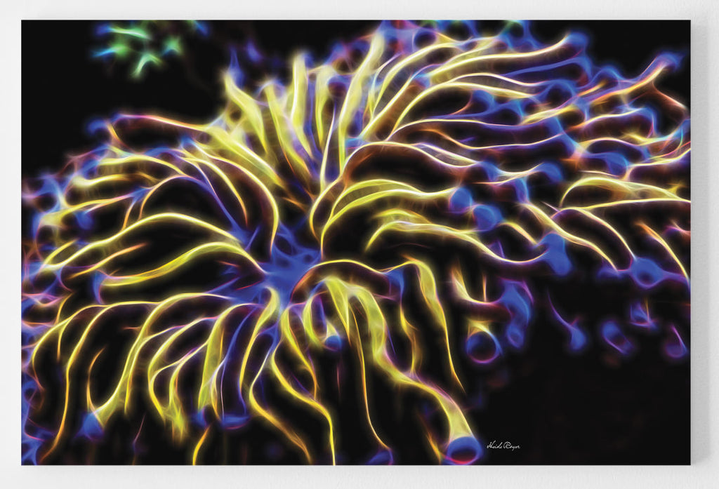 The Sea Anemone - Purple and Blue