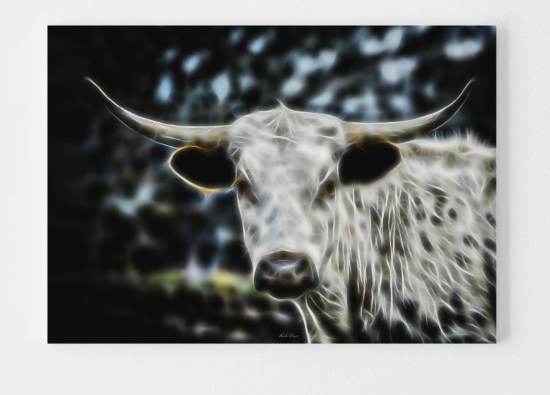 The White Longhorn of Texas