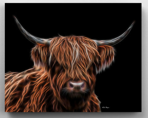 Highland Cow - King