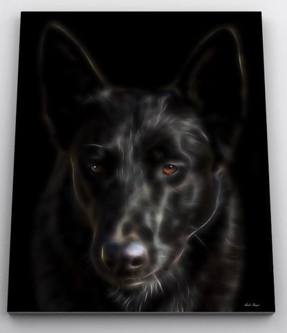 Stoic Black Shepherd