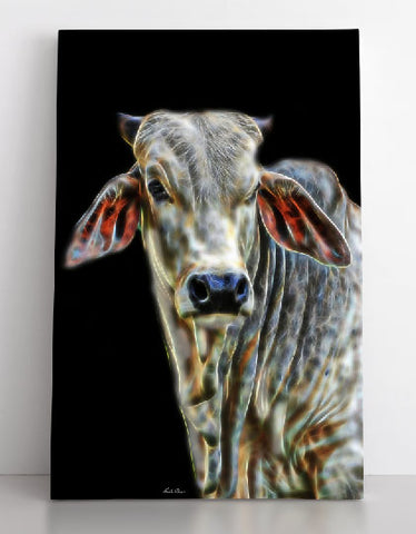 The Brahman Bull - The Patriarch
