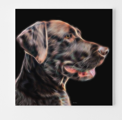Brown Labrador Side Profile