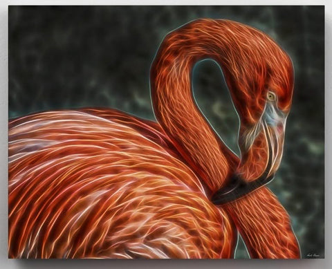 Flamingo Elegance