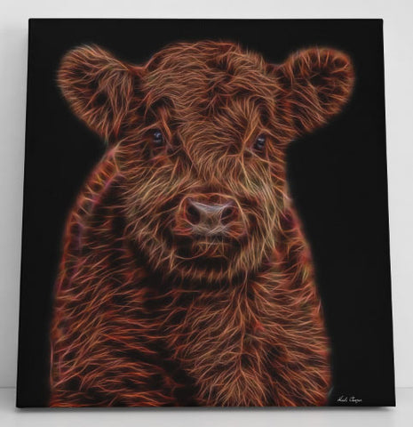 Highland Cow - The beginning